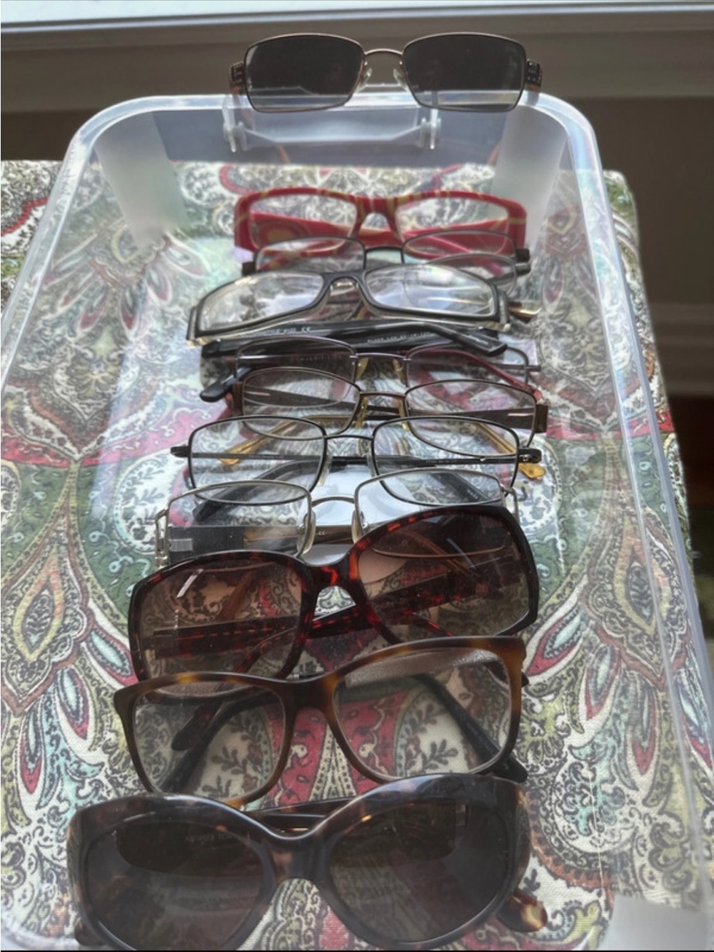Women's Sunglasses and Eyeglass Frames - Black, Brown, Red
